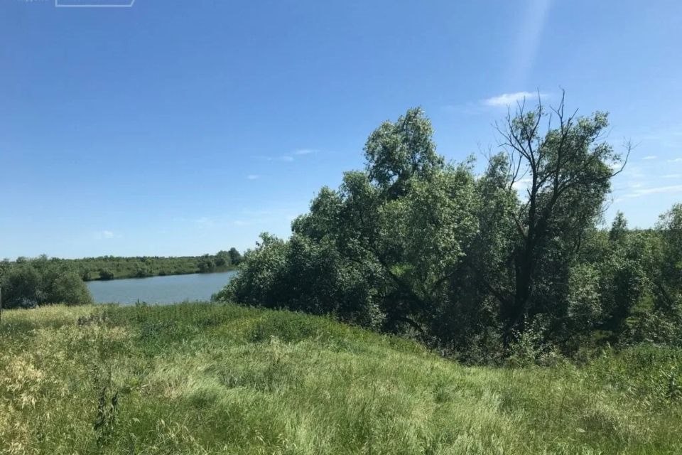 Крыловка воронежская область фото