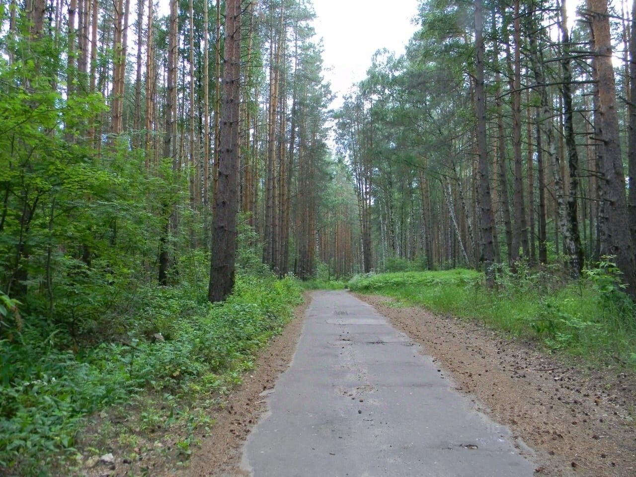 Купить Землю В Борском Районе Нижегородской