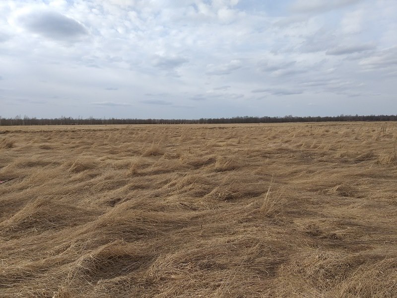 Купить Землю Новгородский Район