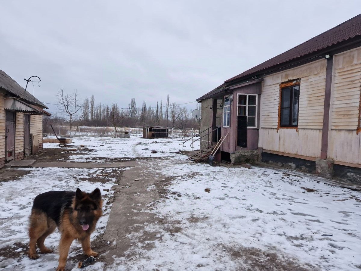 Купить дом в селе Высоком в Лискинском районе в Воронежской области — 31  объявление о продаже загородных домов на МирКвартир с ценами и фото