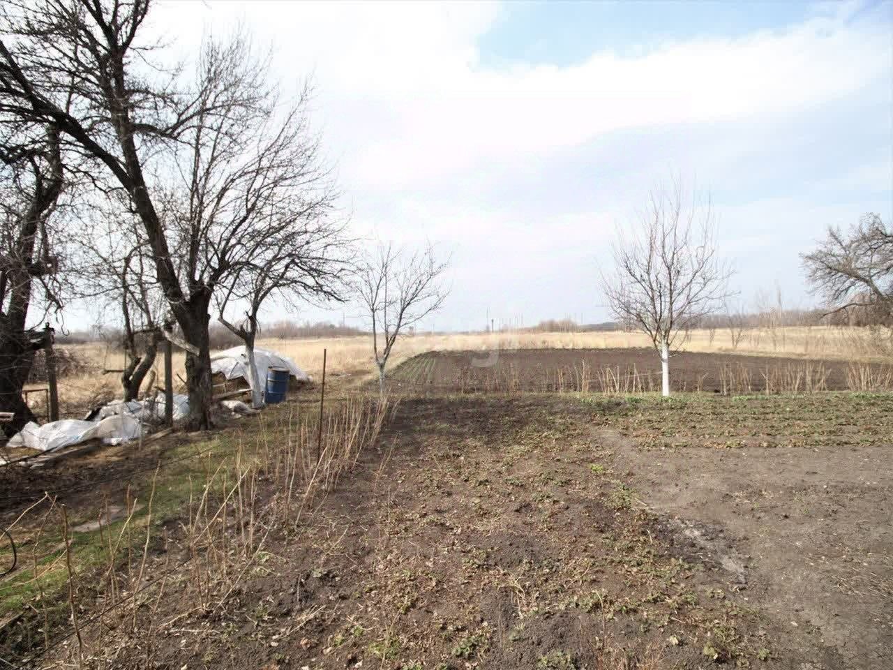 Купить дом в селе Яблочном в Хохольском районе в Воронежской области — 25  объявлений о продаже загородных домов на МирКвартир с ценами и фото