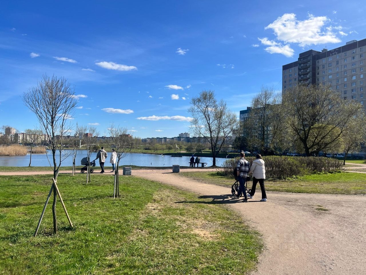 Купить квартиру на Мартыновской улице, 14к1 в Санкт-Петербурге — 3 535  объявлений по продаже квартир на МирКвартир