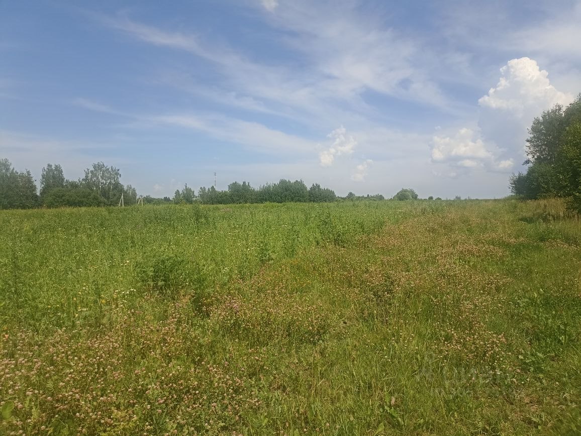 Рогово