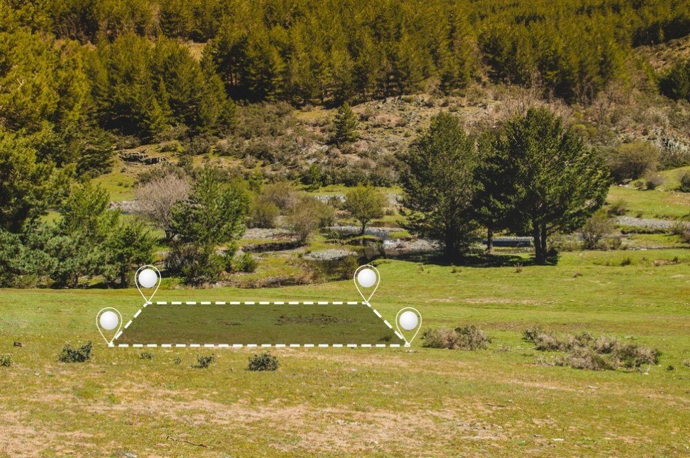 прирезка участка. извилистые дорожки в саду. дорожка в сад. можно ли расширить участок. озеленение маленького участка.